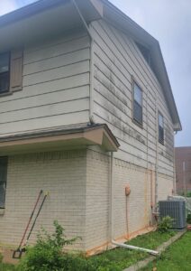 Kern family old siding right side view