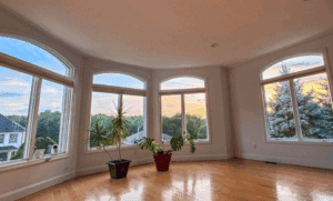 a room with a large window and plants