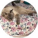 Home 10 Just J A. profile picture